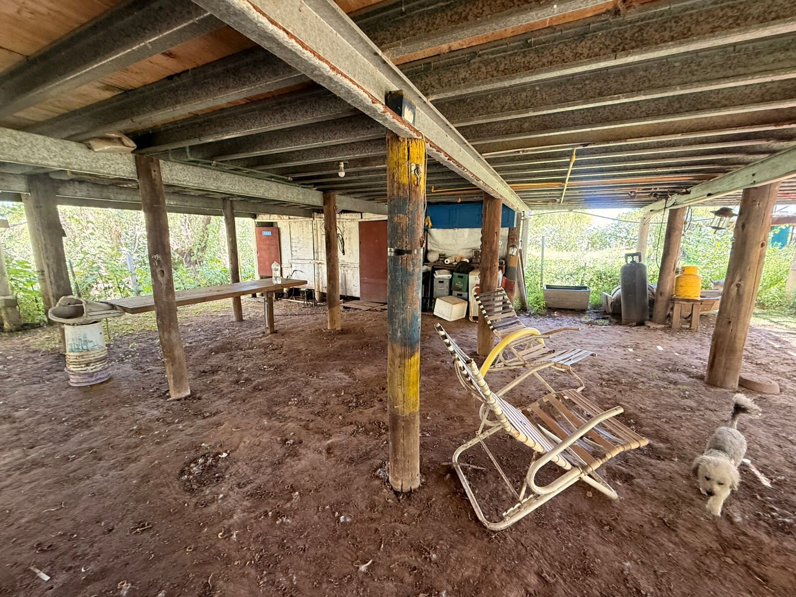 VENTA TERRENO CON CASA EN LA ISLA ESCRITURADO — foto 12