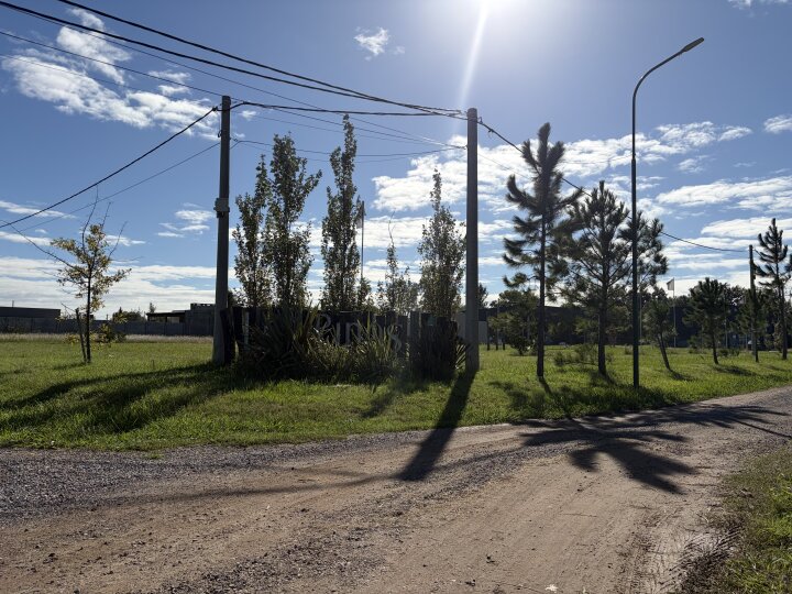 Terrenos - Pi�ero - Venta