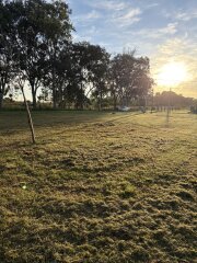 Terrenos - Pi�ero - Venta