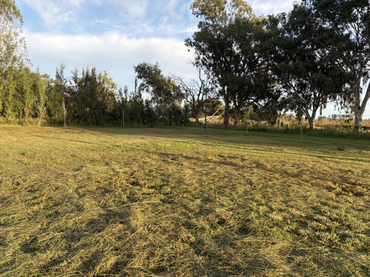 Terrenos - Pi�ero - Venta