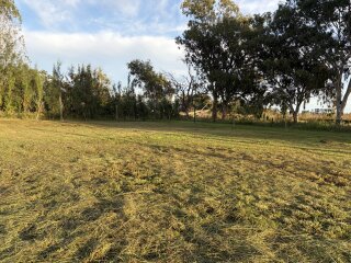 Terrenos - Pi�ero - Venta