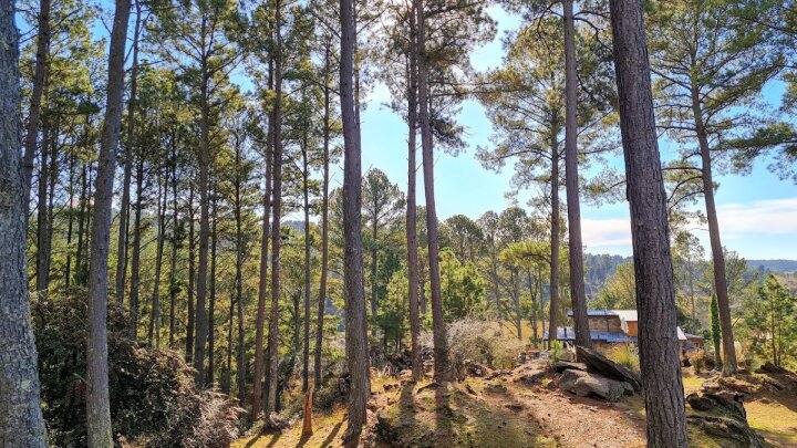 Terrenos - Otra Ciudad - Venta