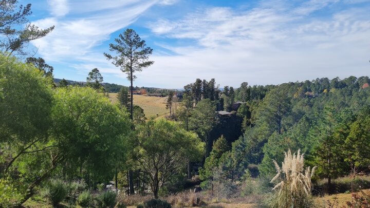Terrenos - Otra Ciudad - Venta