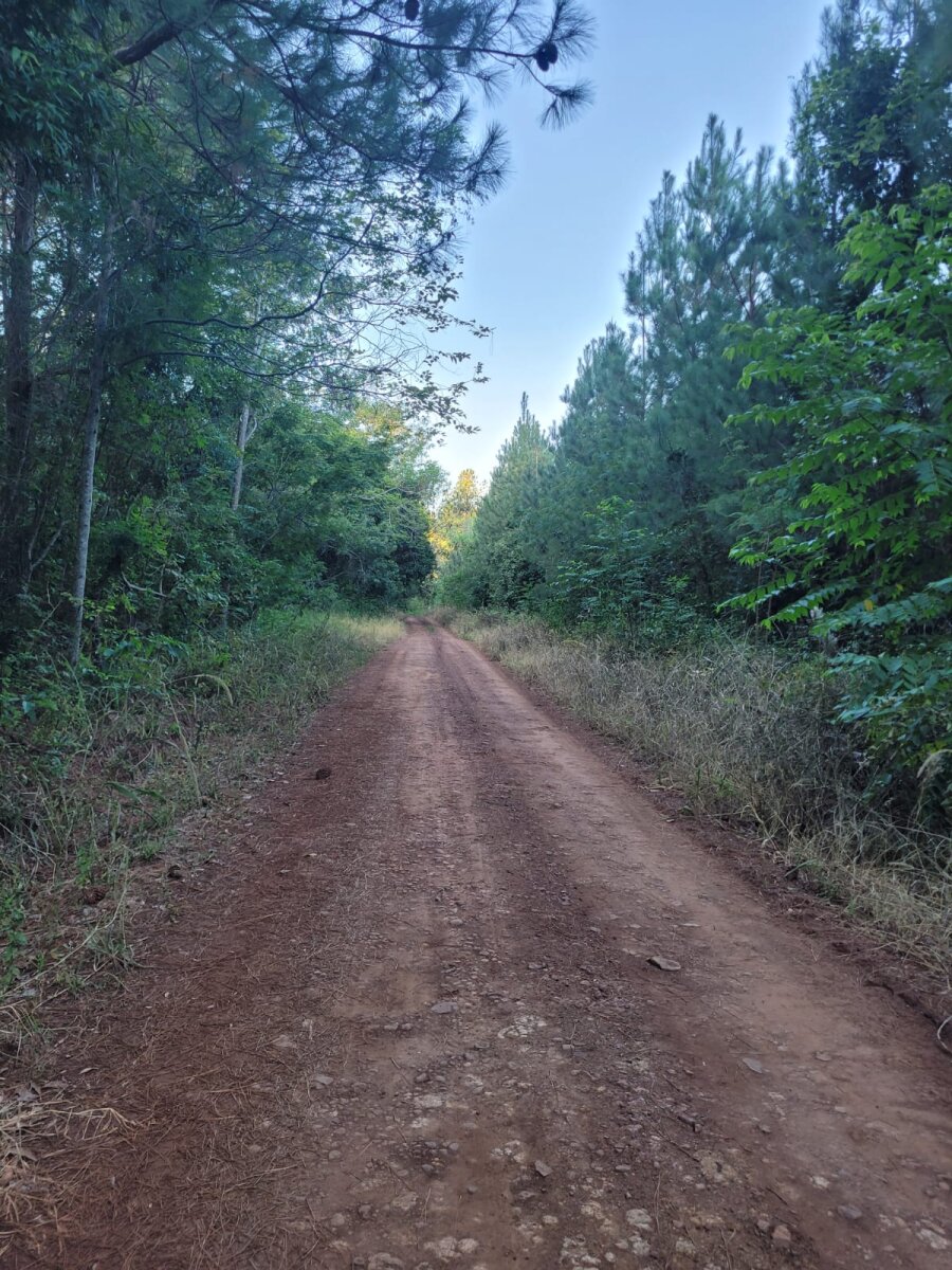 VENDO LOTES EN SANTO PIPO - 14