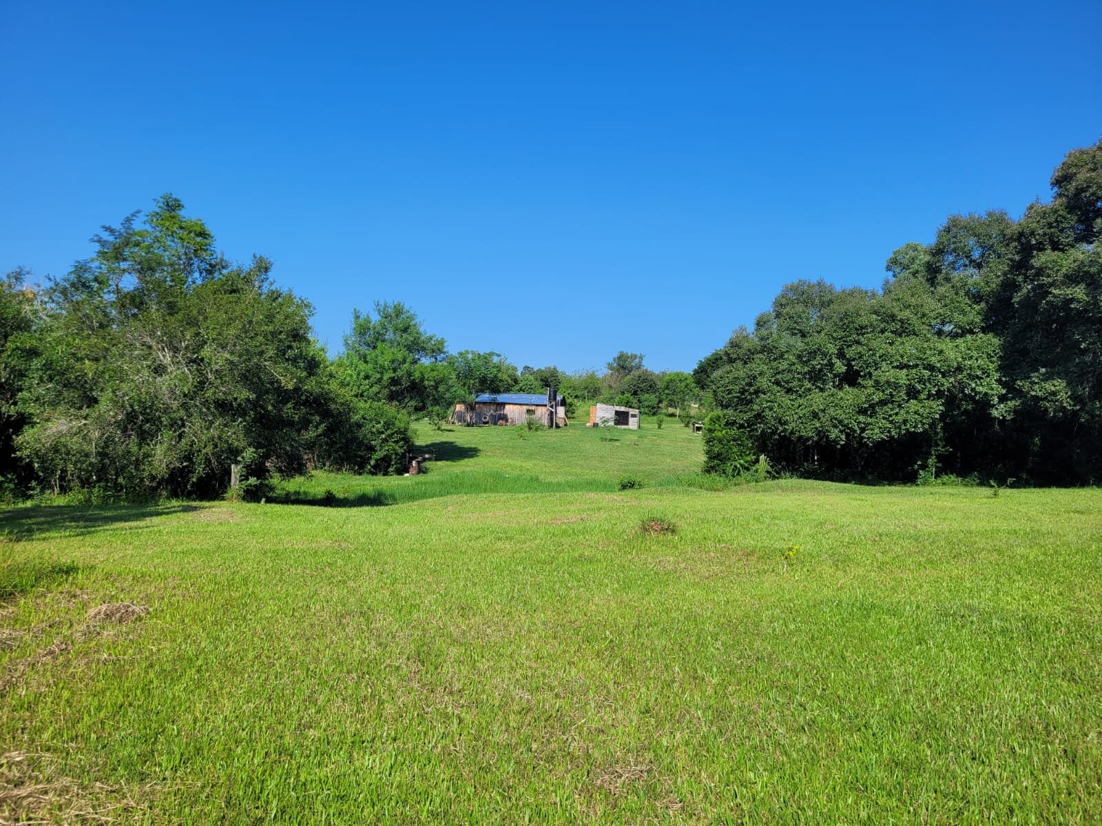 VENDO LOTES EN SANTO PIPO - 1