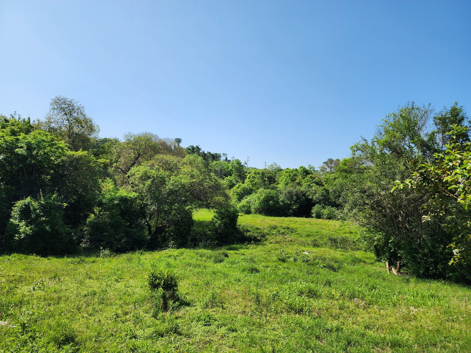 VENDO LOTES EN SANTO PIPO - 2