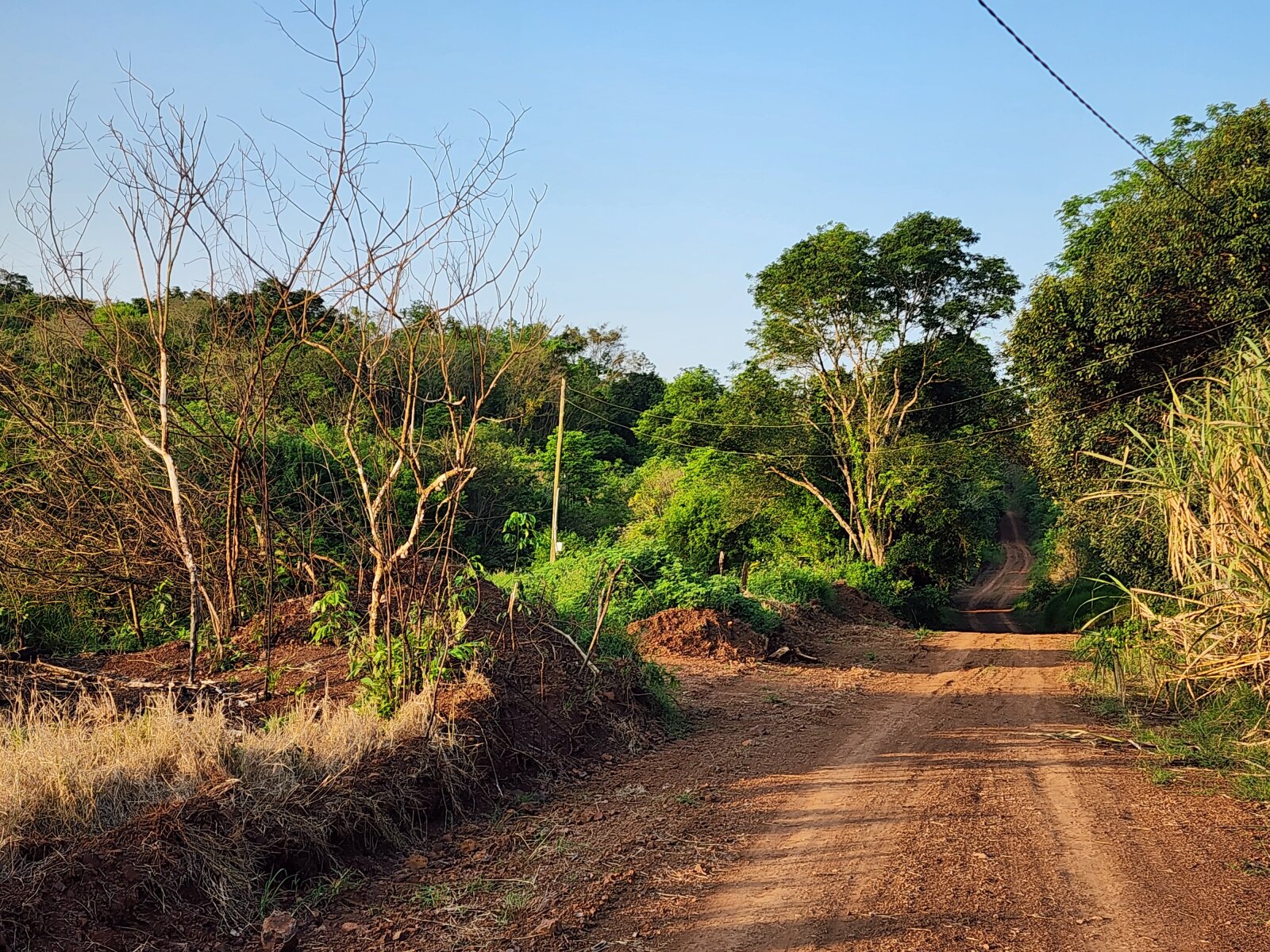 VENDO LOTES EN SANTO PIPO - 11