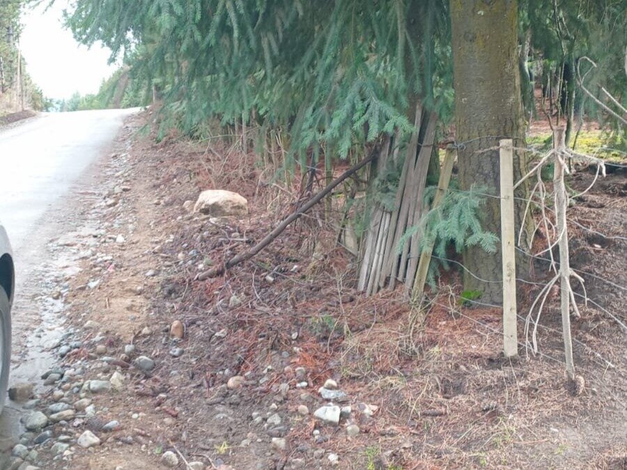 ️ ¡OPORTUNIDAD EN MALLÍN AHOGADO! Gran Terreno de 2003 m² sobre Camino Principal ️ — foto 12