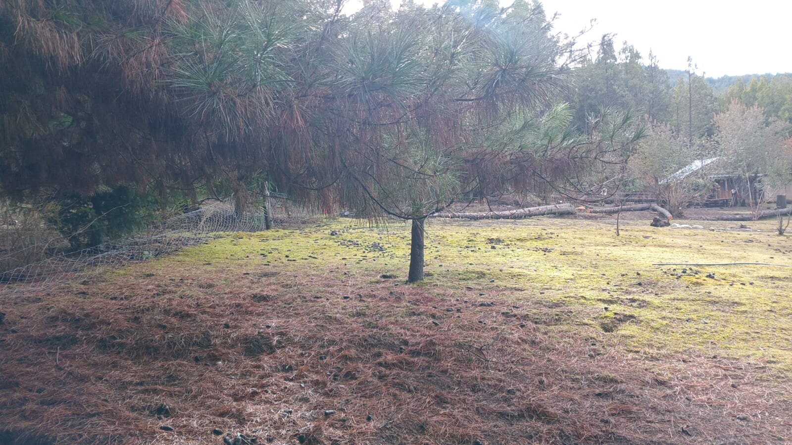 ️ ¡OPORTUNIDAD EN MALLÍN AHOGADO! Gran Terreno de 2003 m² sobre Camino Principal ️ — foto 13
