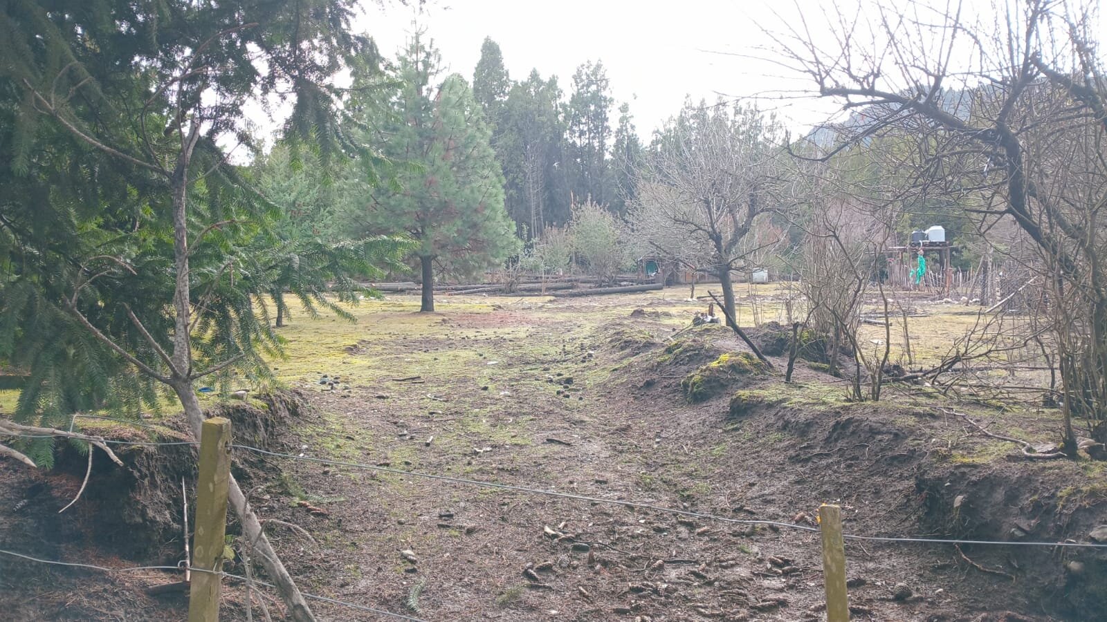 ️ ¡OPORTUNIDAD EN MALLÍN AHOGADO! Gran Terreno de 2003 m² sobre Camino Principal ️ — foto 15