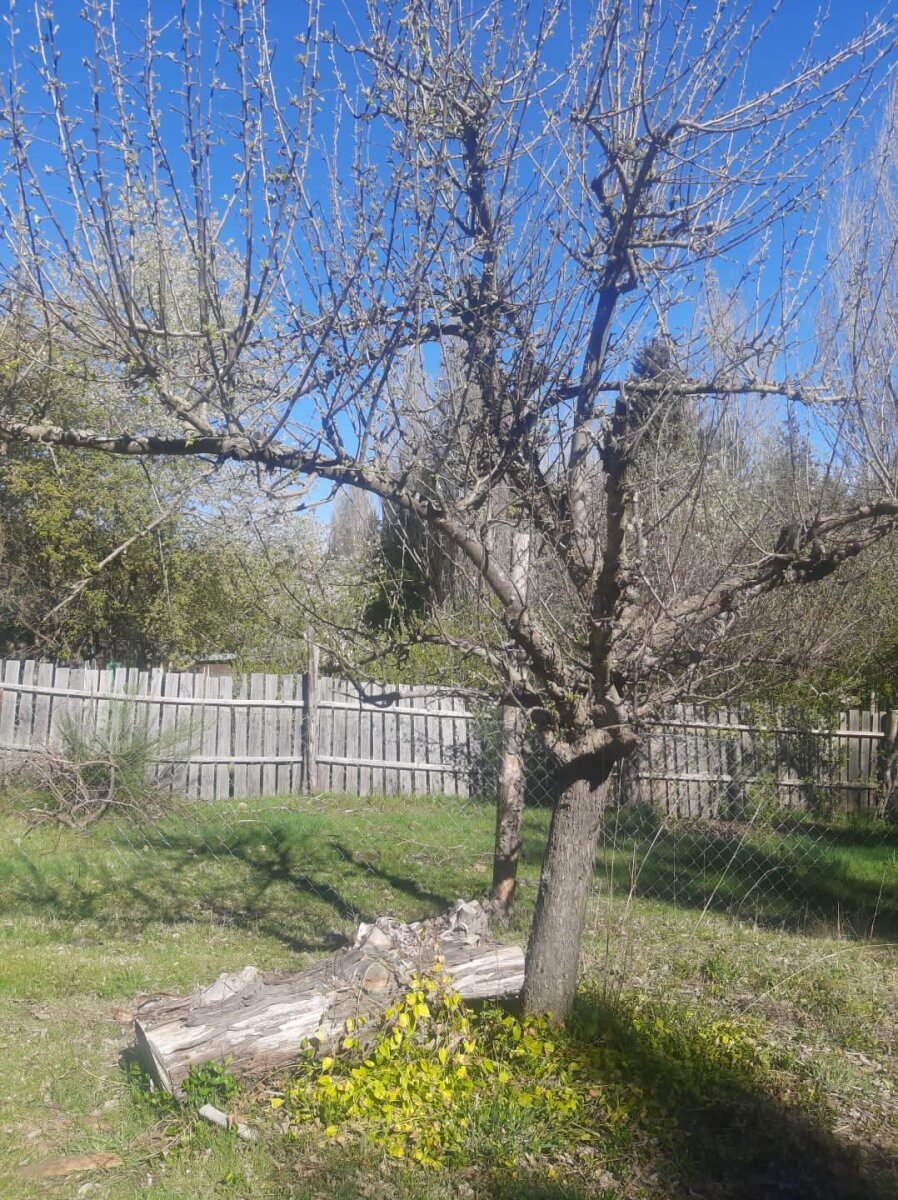 ️ ¡OPORTUNIDAD EN MALLÍN AHOGADO! Gran Terreno de 2003 m² sobre Camino Principal ️ — foto 14
