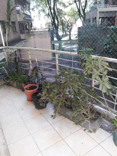 Departamentos - Rosario -  Alquiler