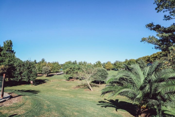 Terrenos - Fighiera - Venta