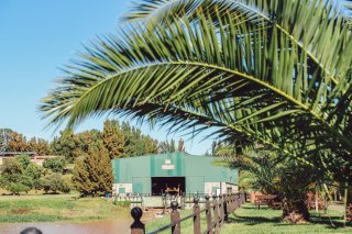 Terrenos - Fighiera - Venta