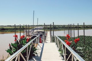 Terrenos - Fighiera - Venta