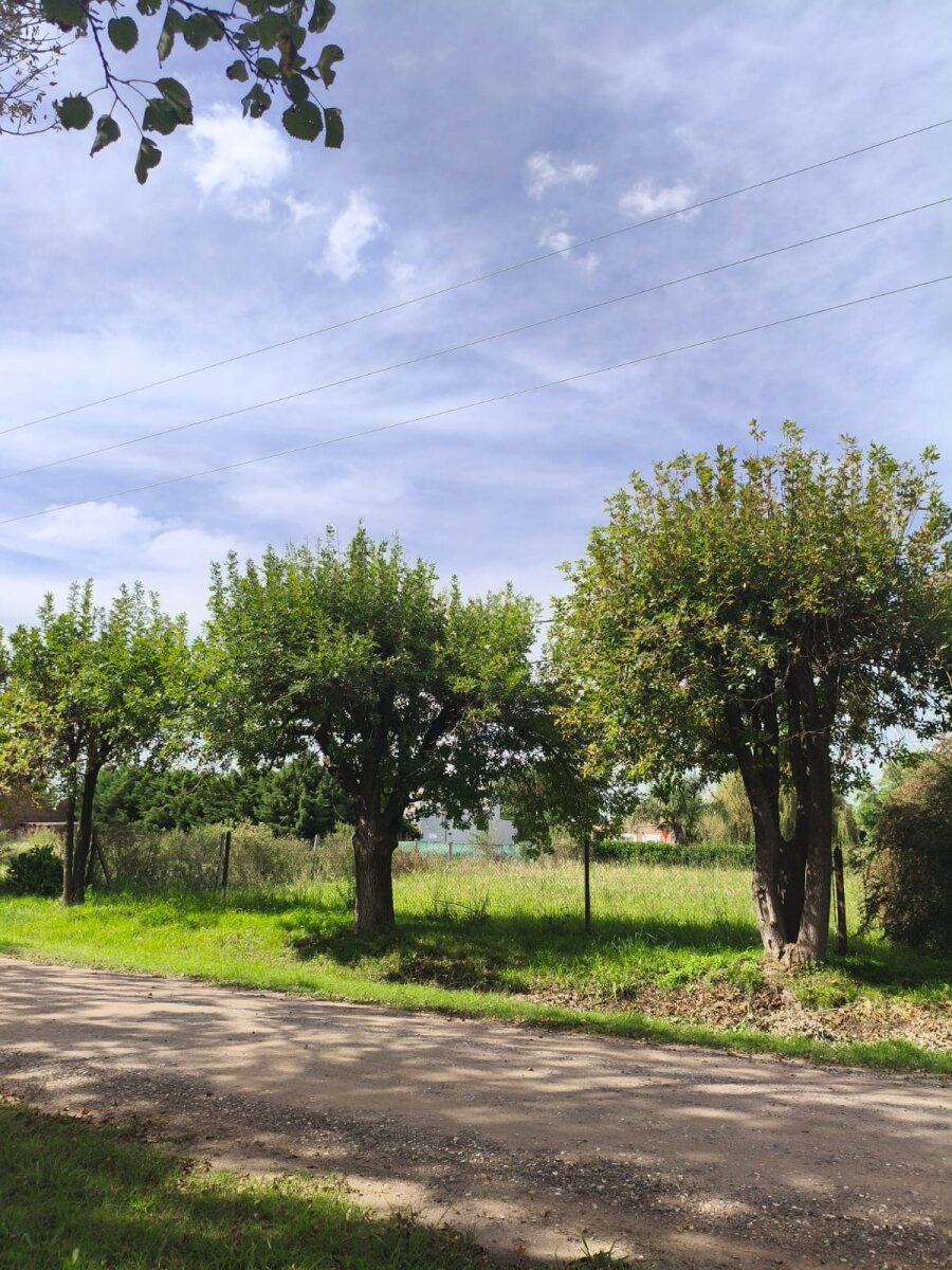 VENTA TERRENO FUNES TOWN — foto 15