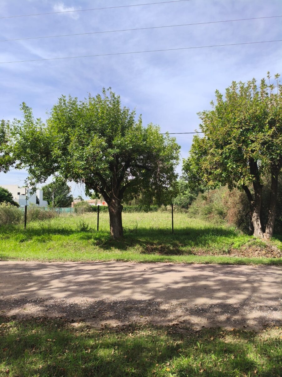 VENTA TERRENO FUNES TOWN — foto 11
