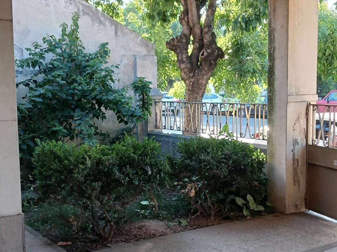 Casa en VENTA en VILLA LUGANO 3 ambientes amplios Cochera Jardin Fondo Quincho y/o Galpon Terraza Excelente ubicacion - 7