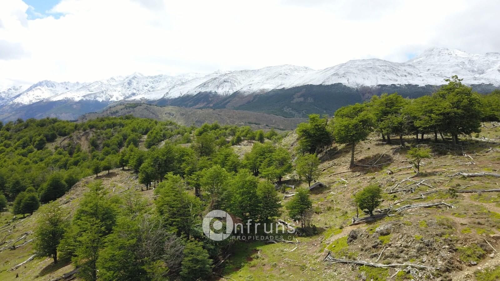 Campo en Venta en Cochrane | 15 Dormitorios | 15 Baños | 5770000 m² | UF 45.227 - 3
