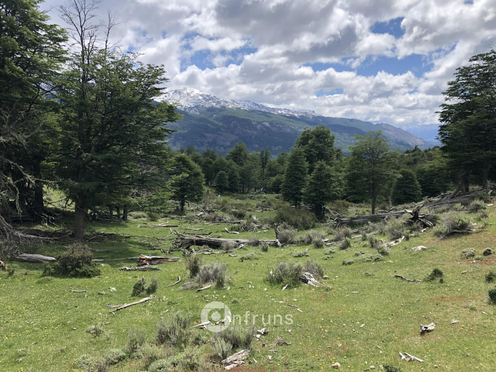 Campo en Venta en Cochrane | 15 Dormitorios | 15 Baños | 5770000 m² | UF 45.227 - 7