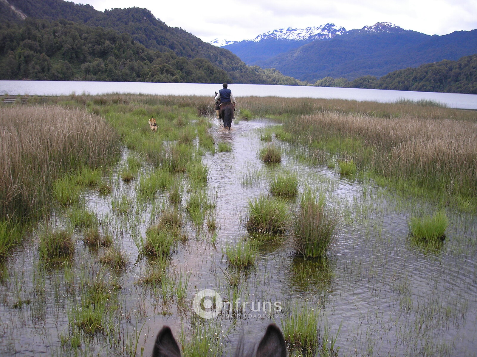 Campo en Venta en Region de Aysen | 15 Dormitorios | 15 Baños | 8020000 m² | UF 21.800 - 9