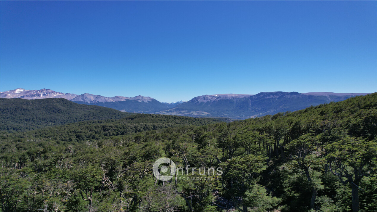 Refugio natural con vistas estacionales únicas | Ñirehuao 16