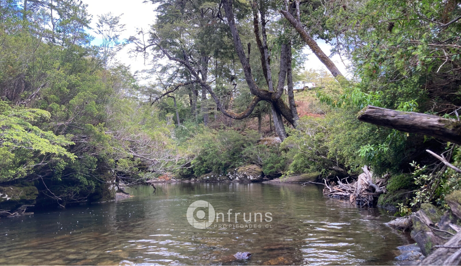 Terreno en Venta en Region de Aysen | 15 Dormitorios | 15 Baños | 27540000 m² | UF 64.825 - 2