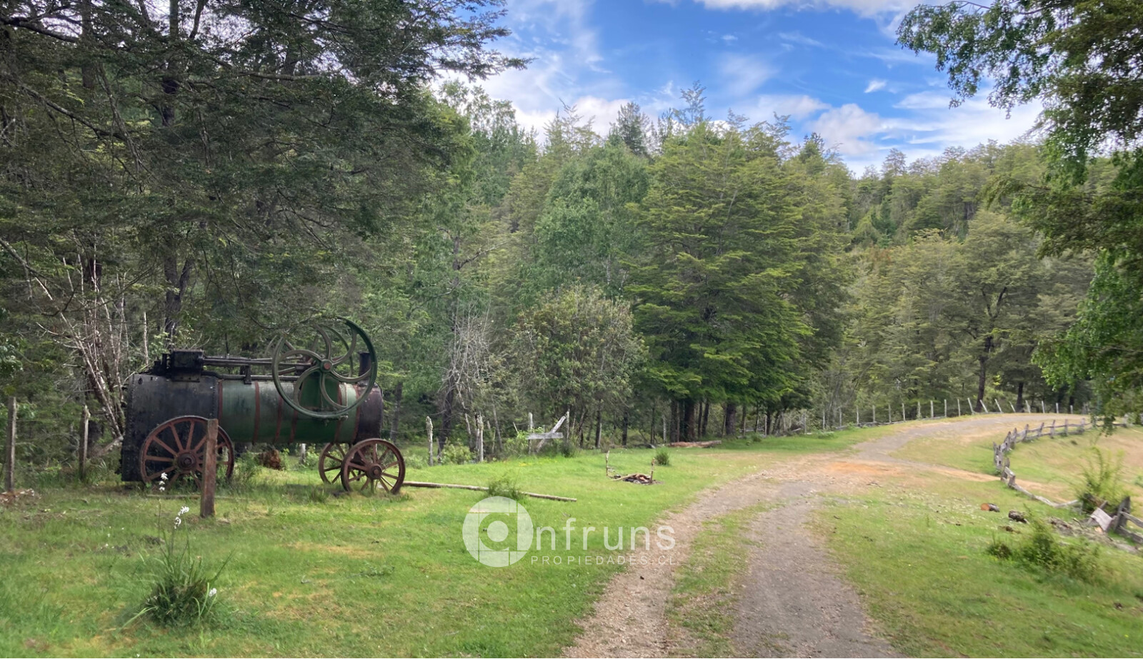 Fundo en venta con biodiversidad y bosques nativos | Fundo La Unión 2754