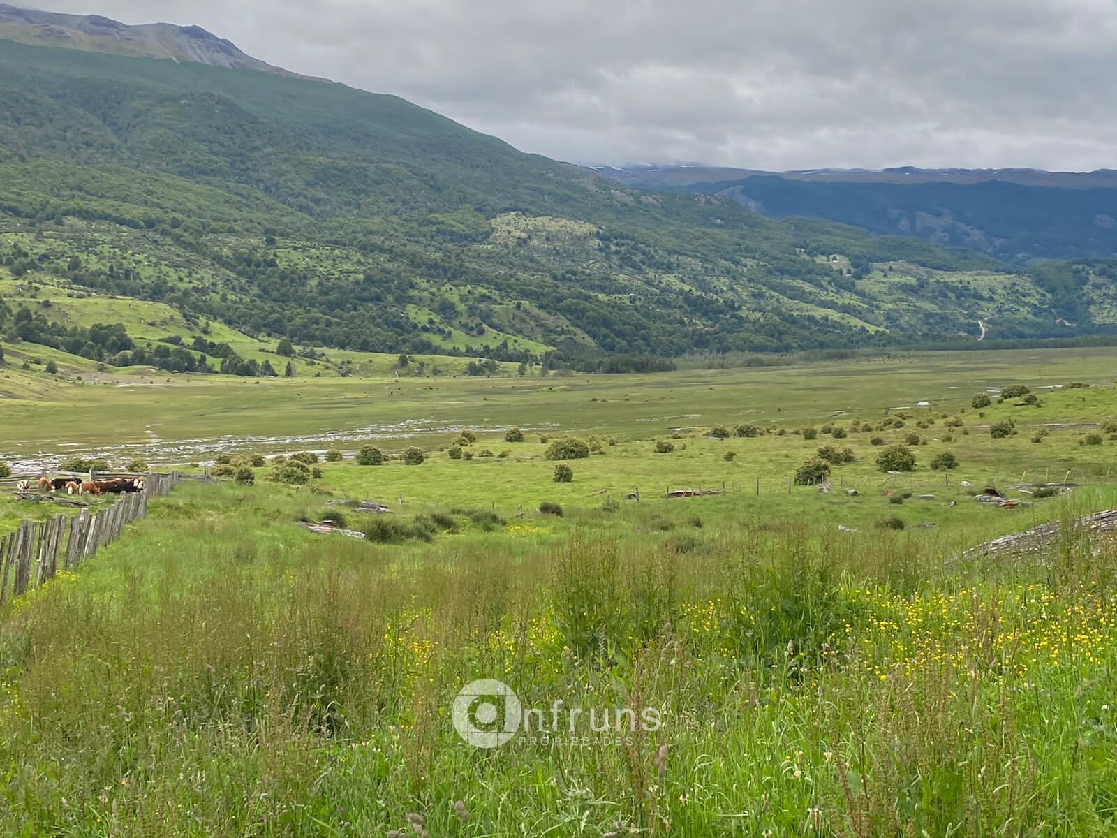 Campo en Venta en Cerro Castillo | 15 Dormitorios | 15 Baños | 2550000 m² | UF 20.043 - 8