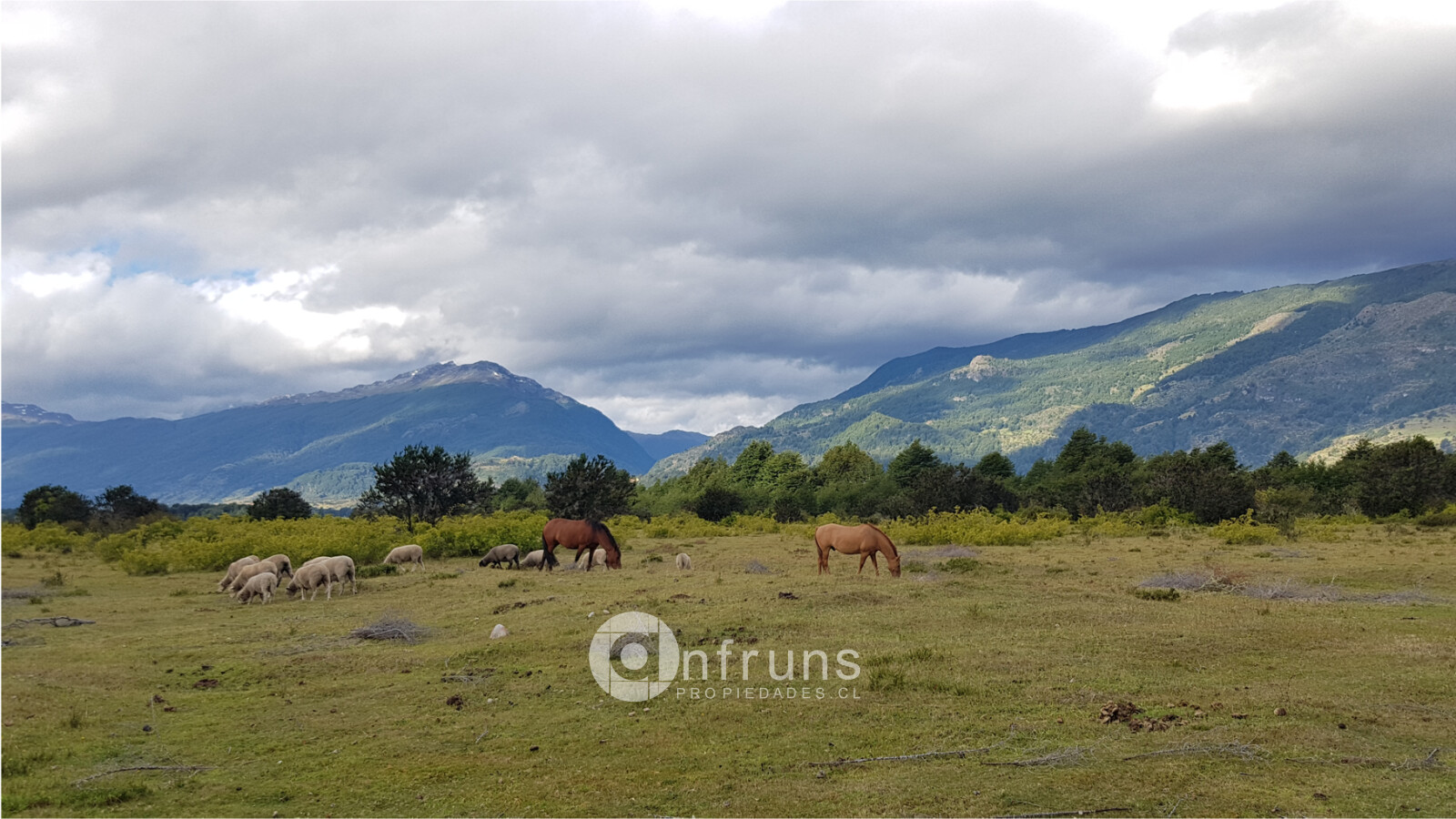 Campo en Venta en Cerro Castillo | 15 Dormitorios | 15 Baños | 2550000 m² | UF 20.043 - 5