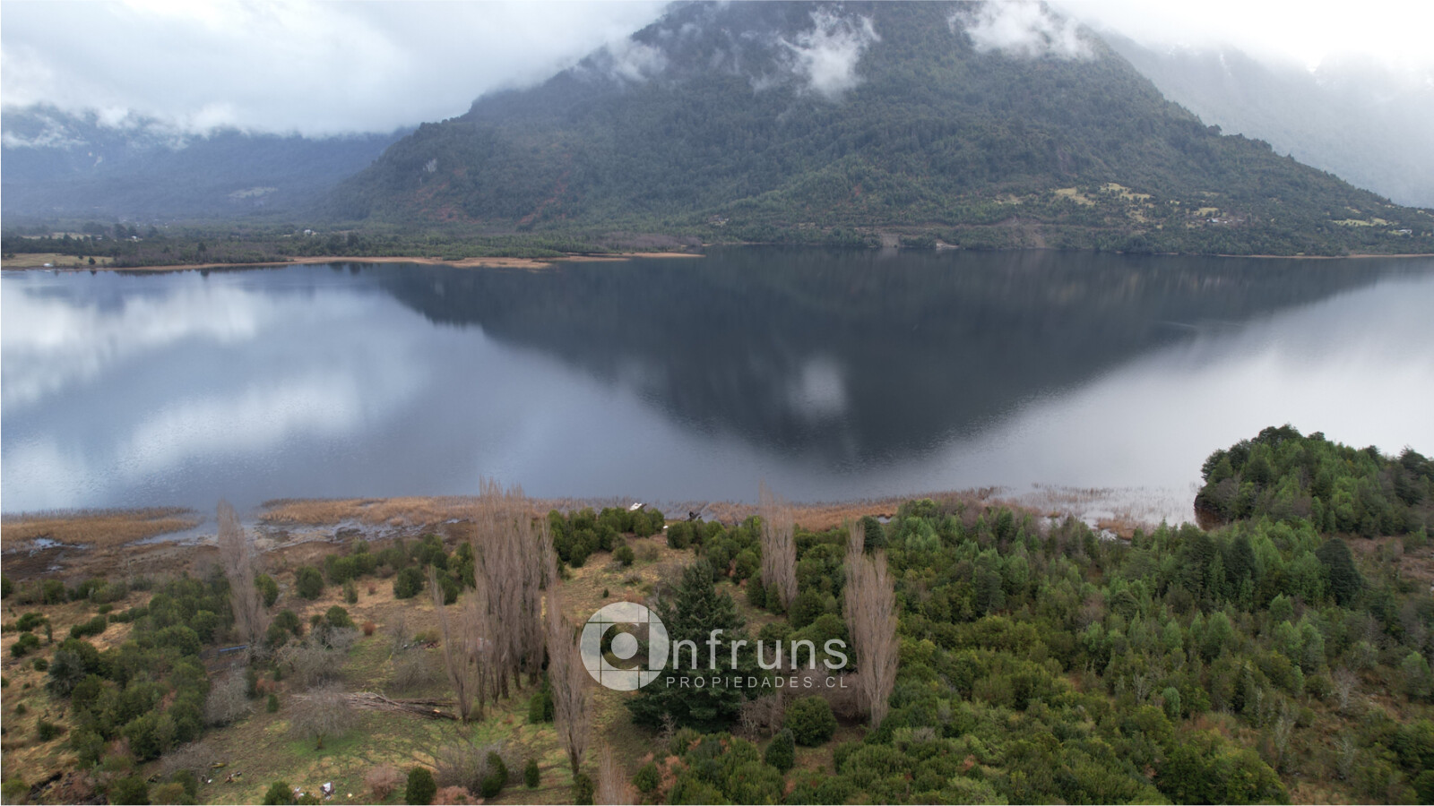 Campo en venta con orilla de lago y bosque nativo | Lago Los Palos 122.6
