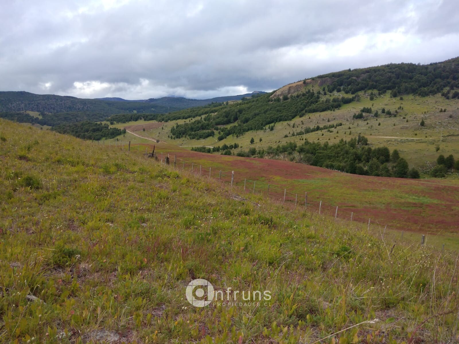 Campo en Venta en Balmaceda | 15 Dormitorios | 15 Baños | 320000 m² | UF 10.991 - 15