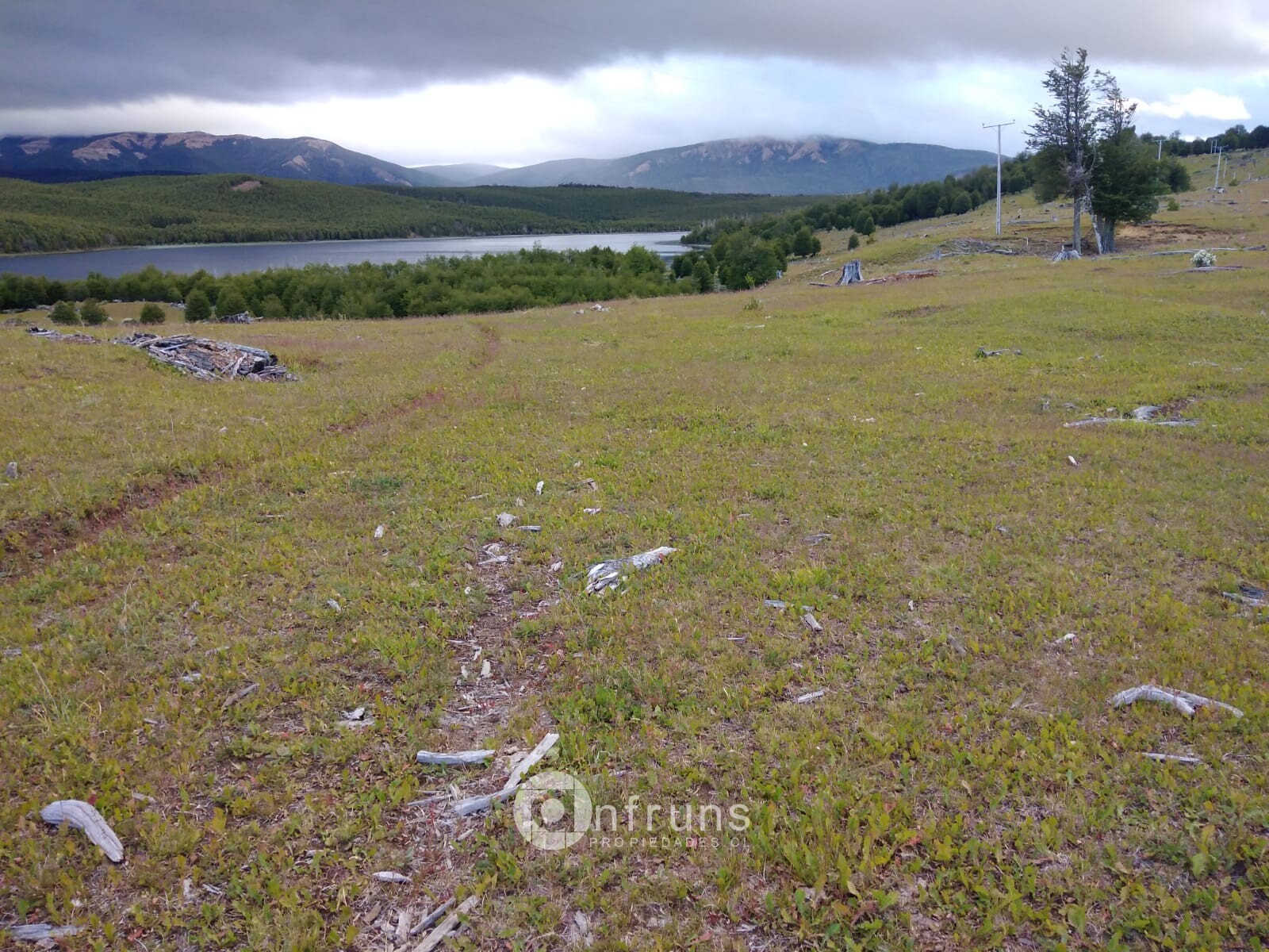 Campo en Venta en Balmaceda | 15 Dormitorios | 15 Baños | 320000 m² | UF 10.991 - 8