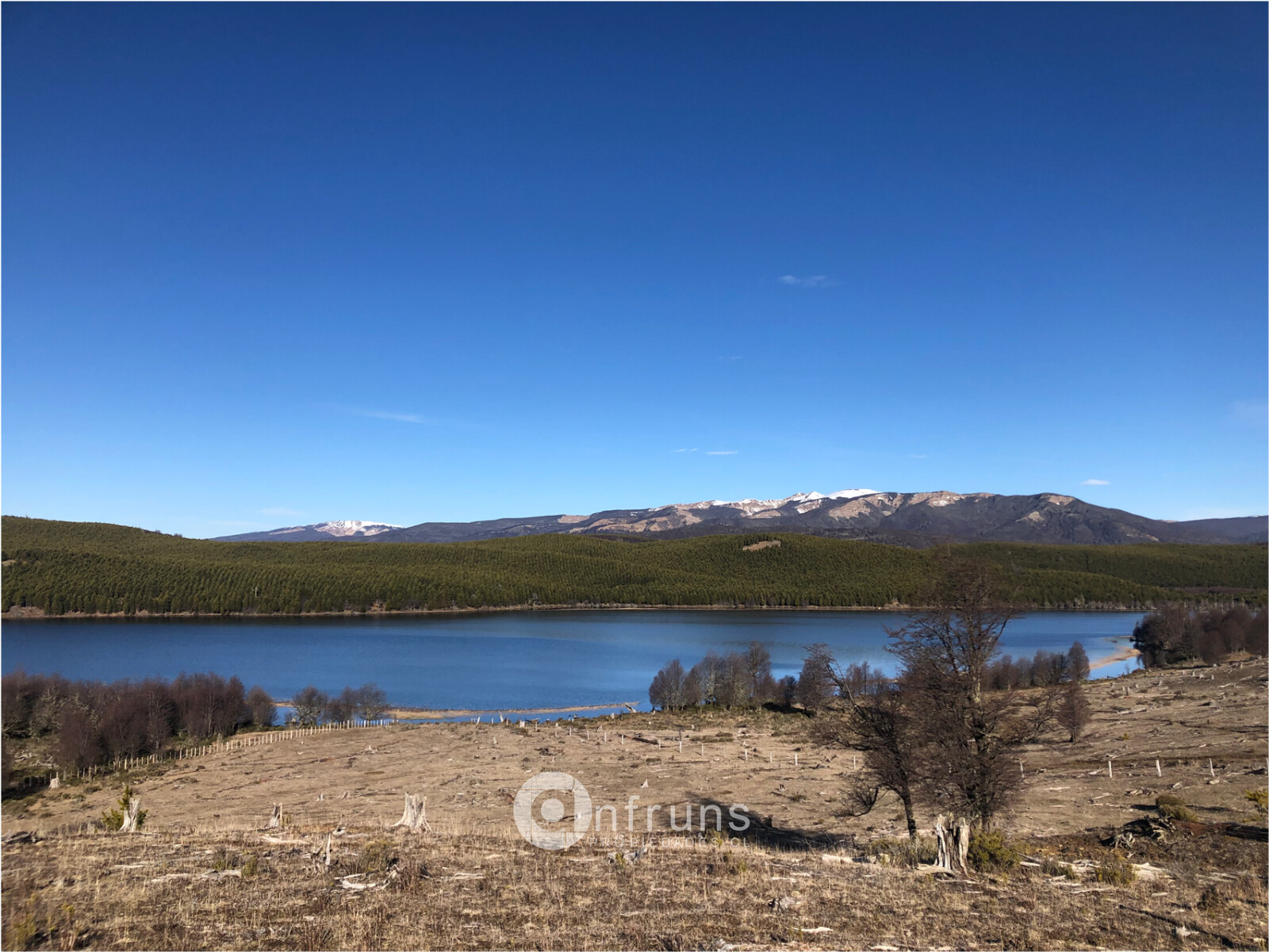 Campo en venta con bosque de lenga y fauna nativa | Lago Thompson 32