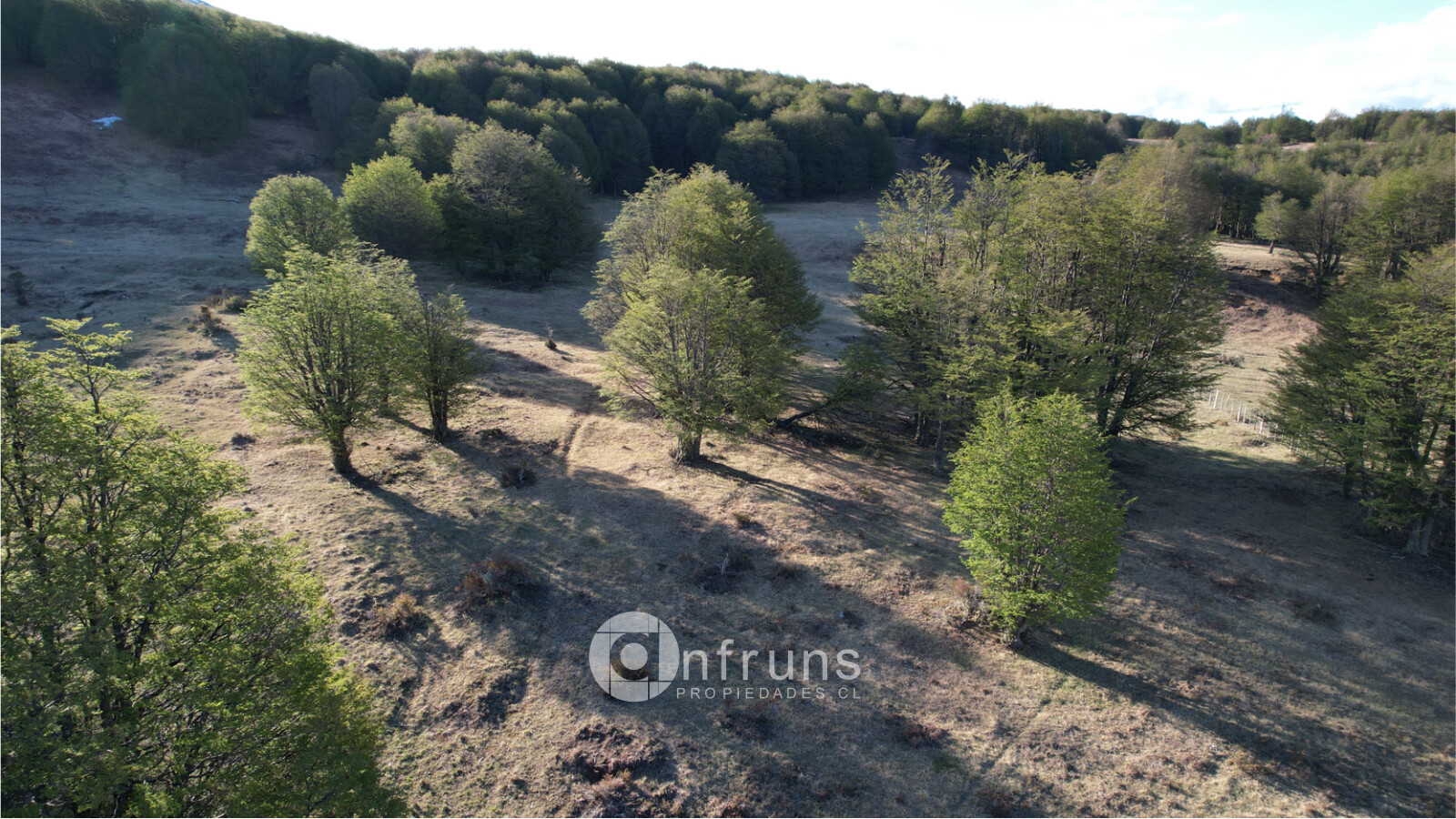 Terreno en Venta en Cerro Castillo | 15 Dormitorios | 15 Baños | 160000 m² | UF 5.000 - 7