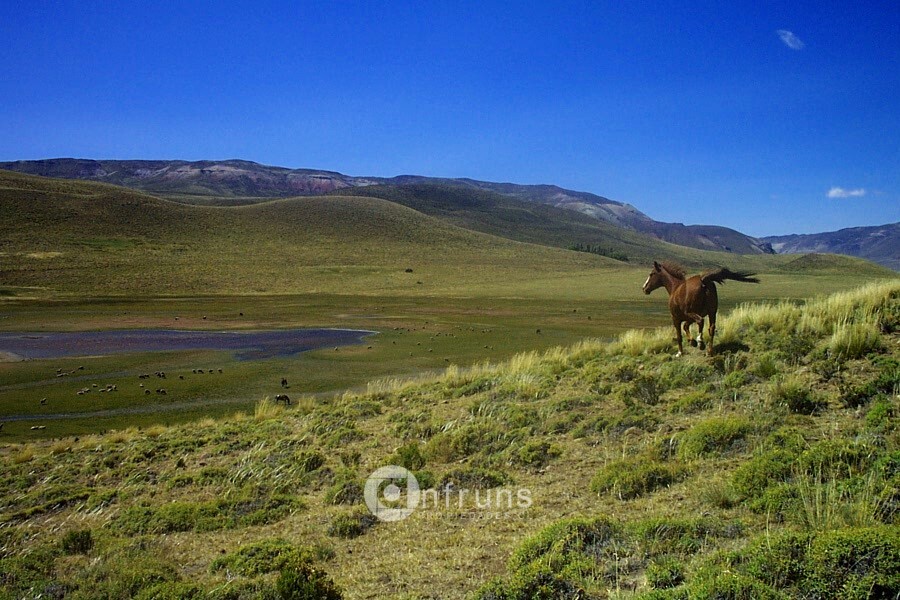 Campo en Venta en Chile Chico | 15 Dormitorios | 15 Baños | 6000000 m² | UF 28.778 - 8