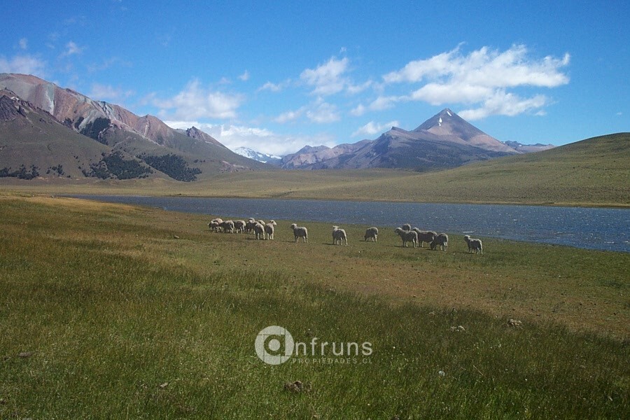 Campo en Venta en Chile Chico | 15 Dormitorios | 15 Baños | 6000000 m² | UF 28.778 - 7