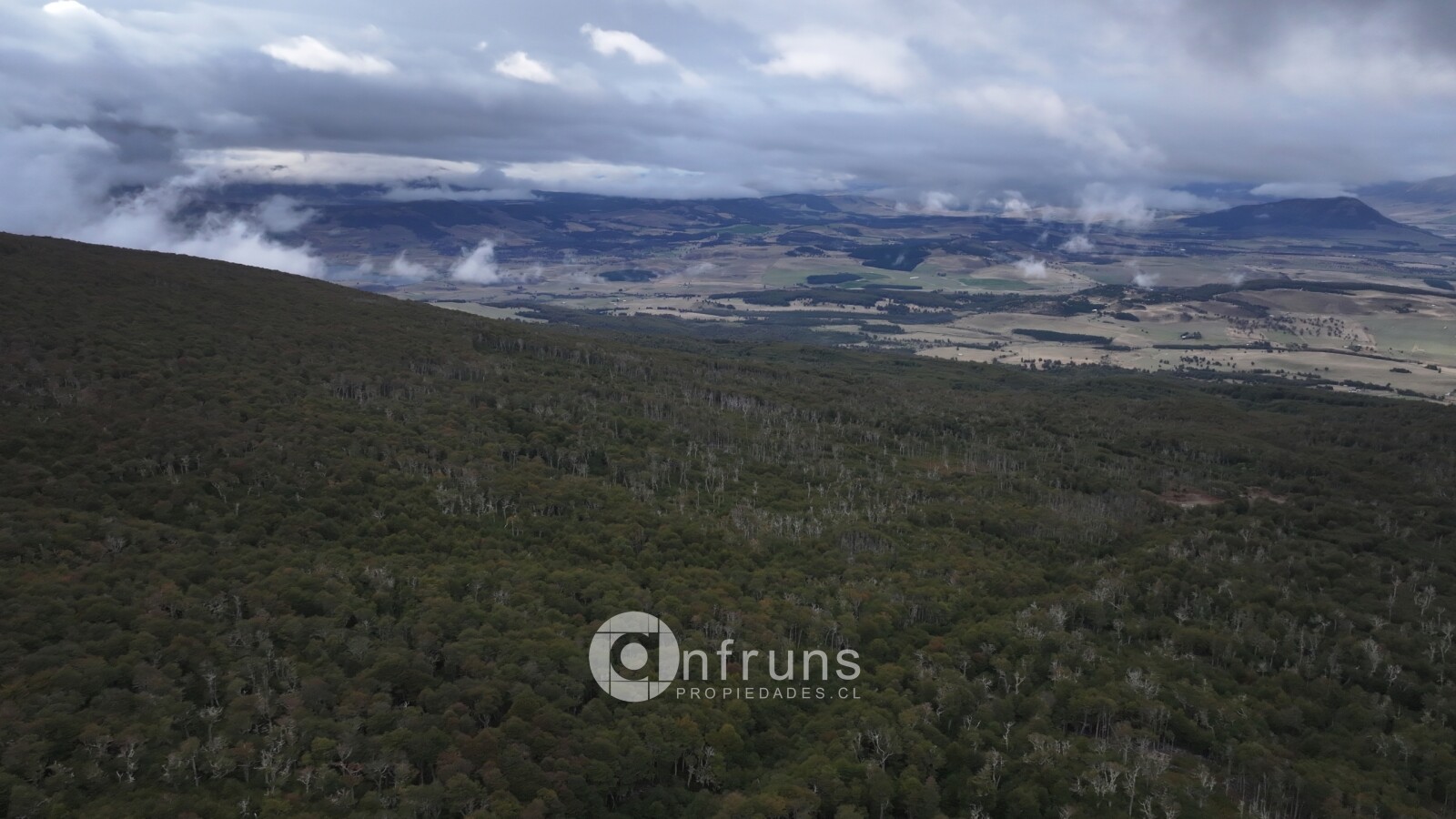 Campo en venta cerca de Coyhaique | Fundo El Boscoso