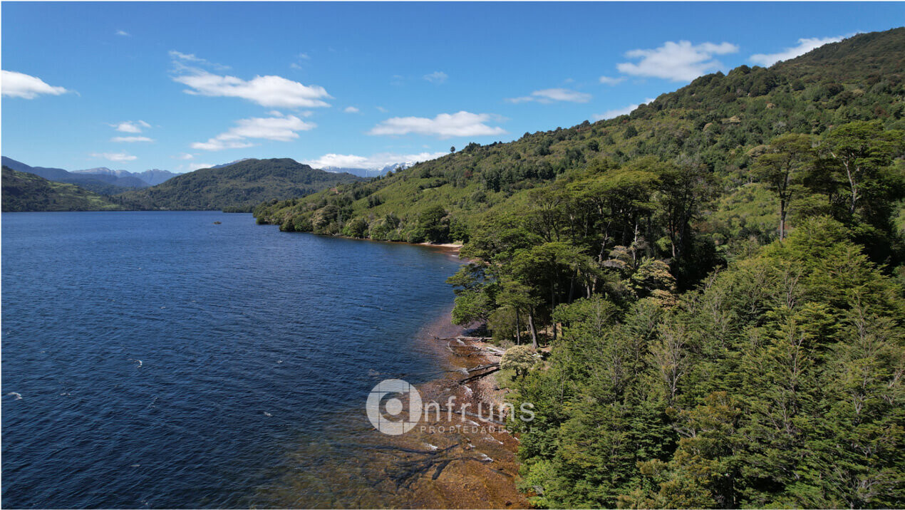 Fundo en venta con orilla de lago y bosque nativo | Lago Zenteno 141