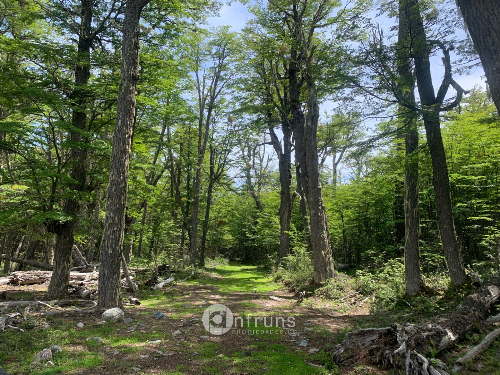 Terreno en Venta en Cerro Castillo | 15 Dormitorios | 15 Baños | 36670000 m² | UF 28.670 - 5