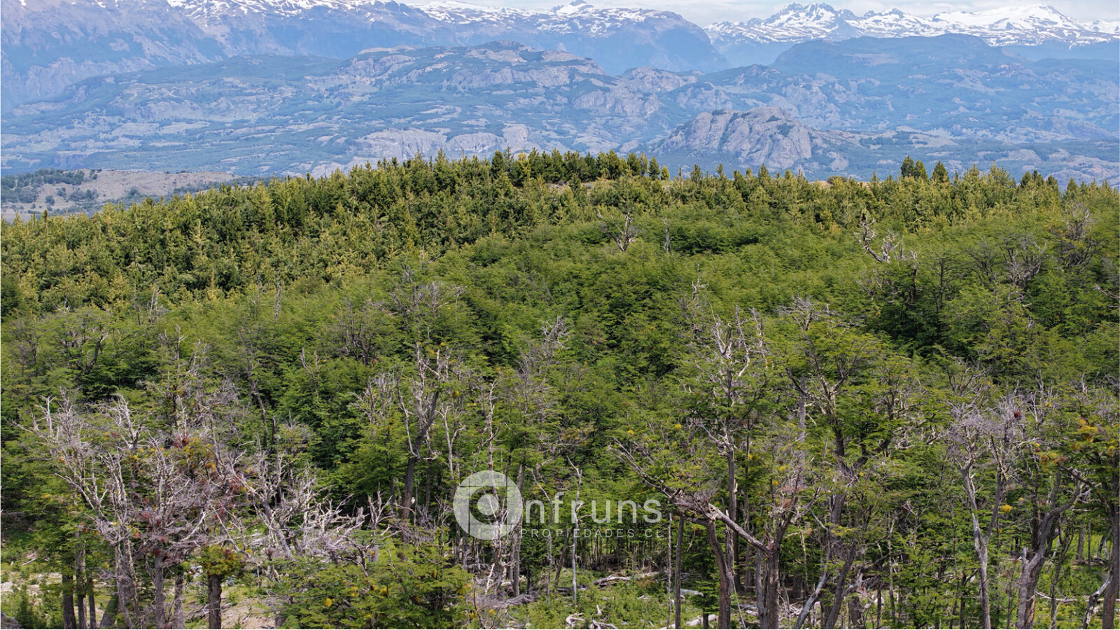 Terreno en Venta en Cerro Castillo | 15 Dormitorios | 15 Baños | 36670000 m² | UF 28.670 - 3