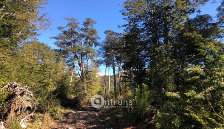 Lodge en Venta en Carretera Austral | 15 Dormitorios | 15 Baños | 6200000 m² | UF 27.858 - 5