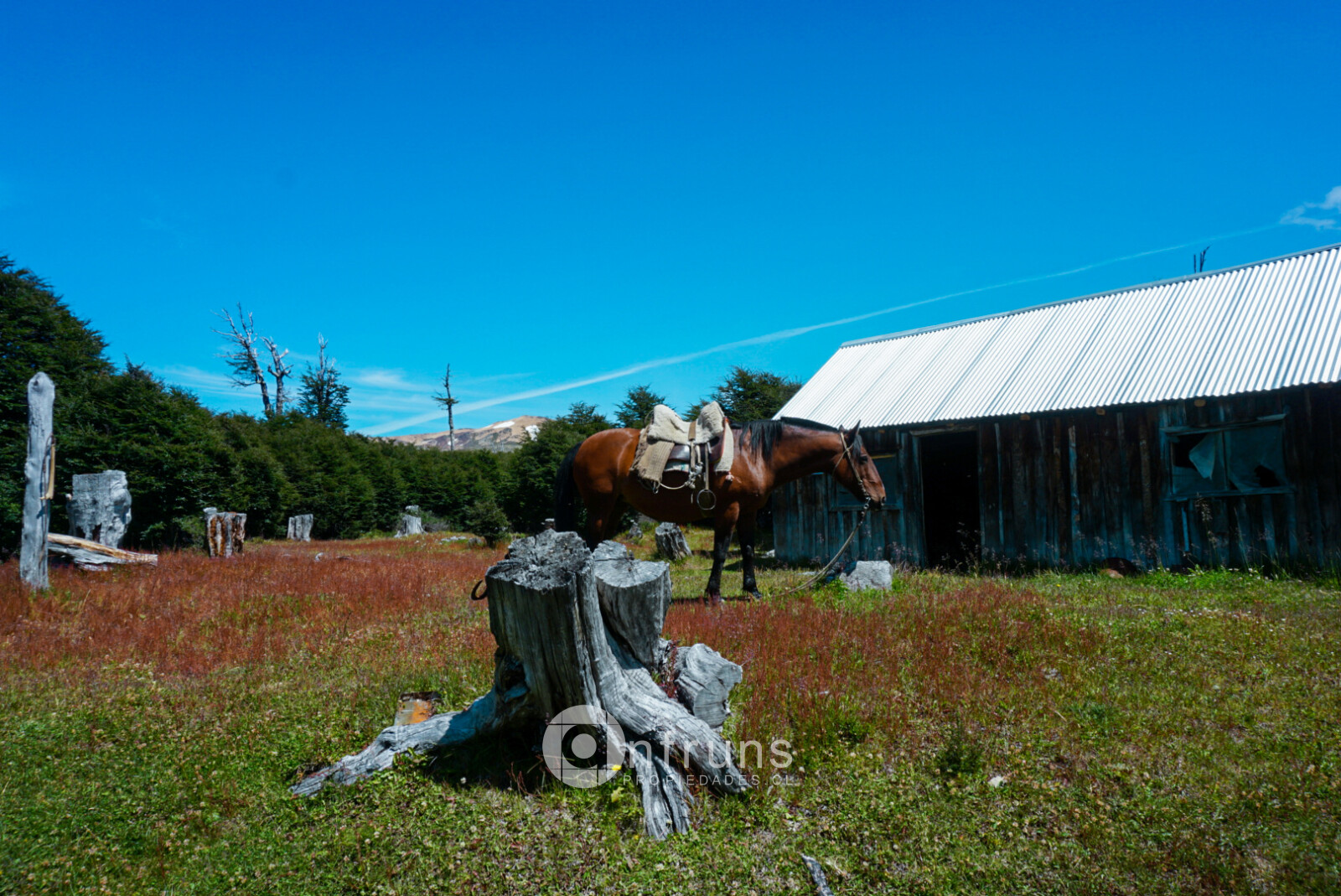 Campo en Venta en Coyhaique | 15 Dormitorios | 15 Baños | 20500000 m² | UF 31.150 - 12