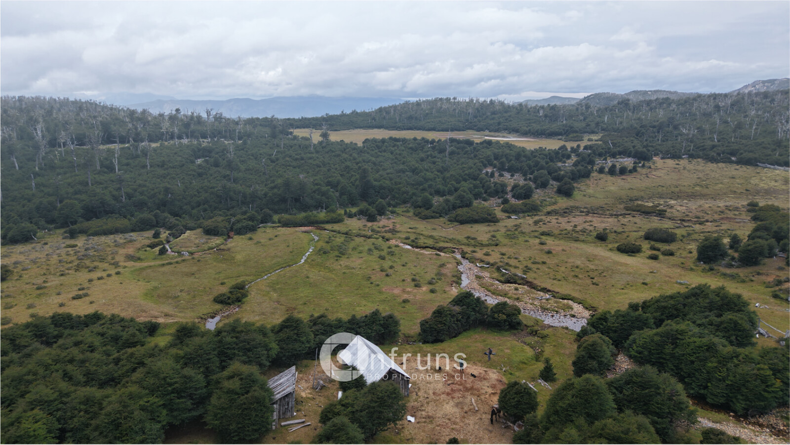 Campo con río, humedales y fauna nativa | Río Moro 2050