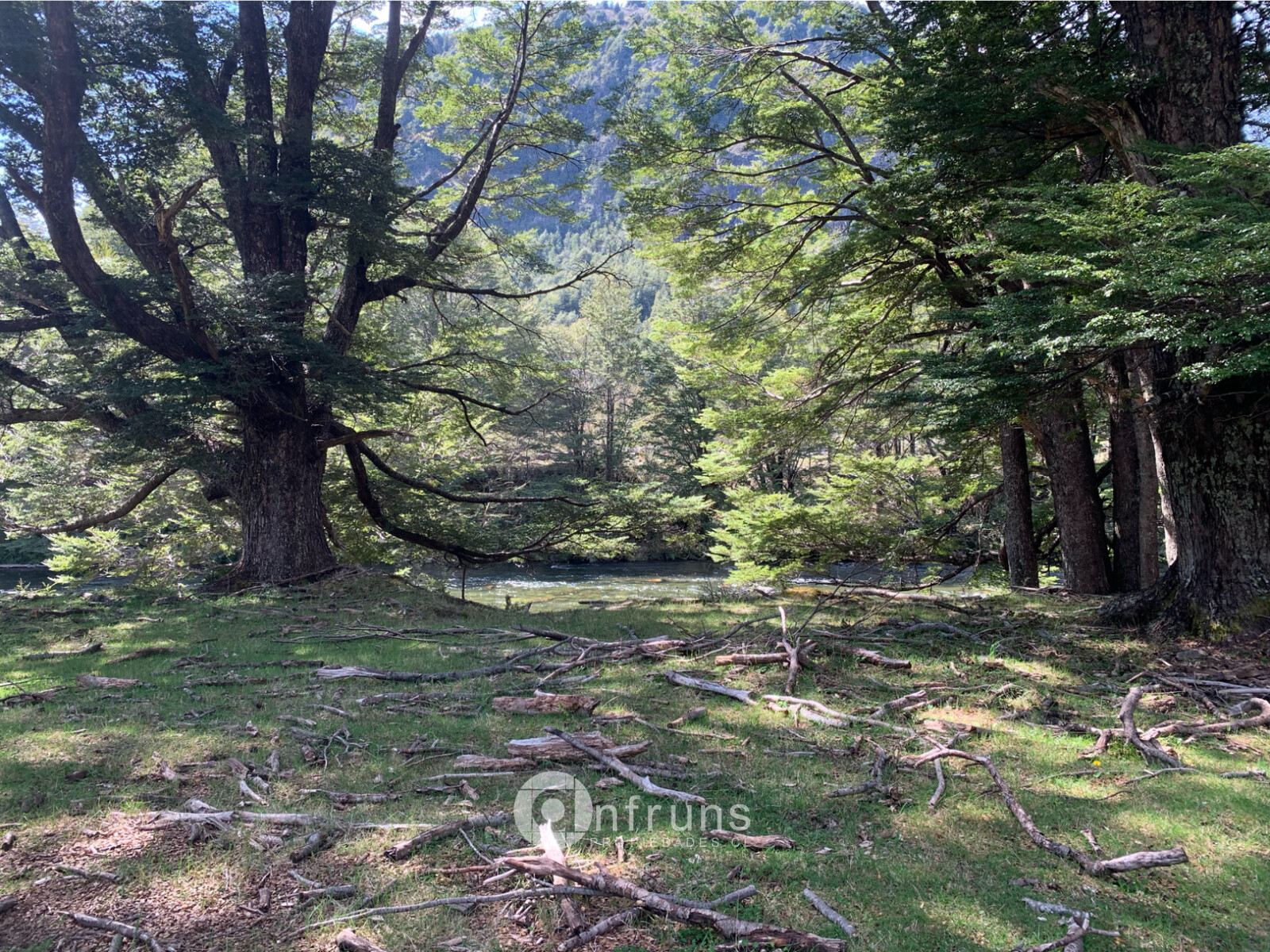 Lodge en Venta en Coyhaique | 15 Dormitorios | 15 Baños | 200000 m² | UF 5.500 - 5