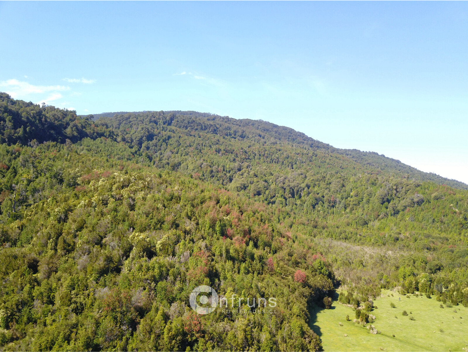Terreno en Venta en Puerto Cisnes | 15 Dormitorios | 15 Baños | 2950000 m² | UF 12.000 - 9