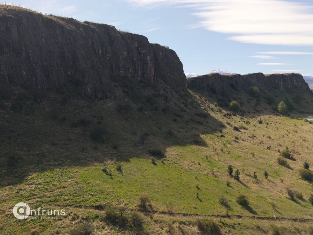 View of the ranch's tranquil and natural surroundings