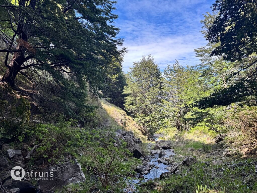 Lodge en Venta en Coyhaique | 15 Dormitorios | 15 Baños | 760000 m² | UF 11.000 - 3