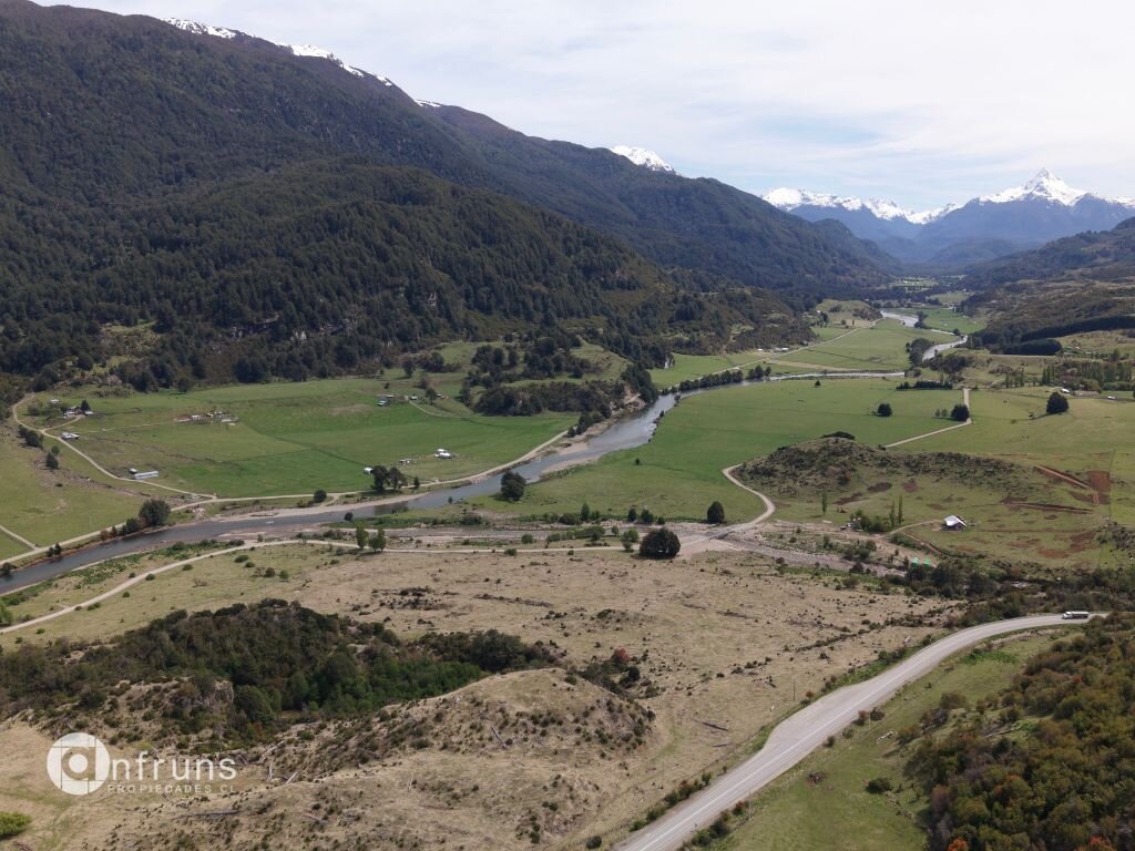 Cattle grazing on the land parcel