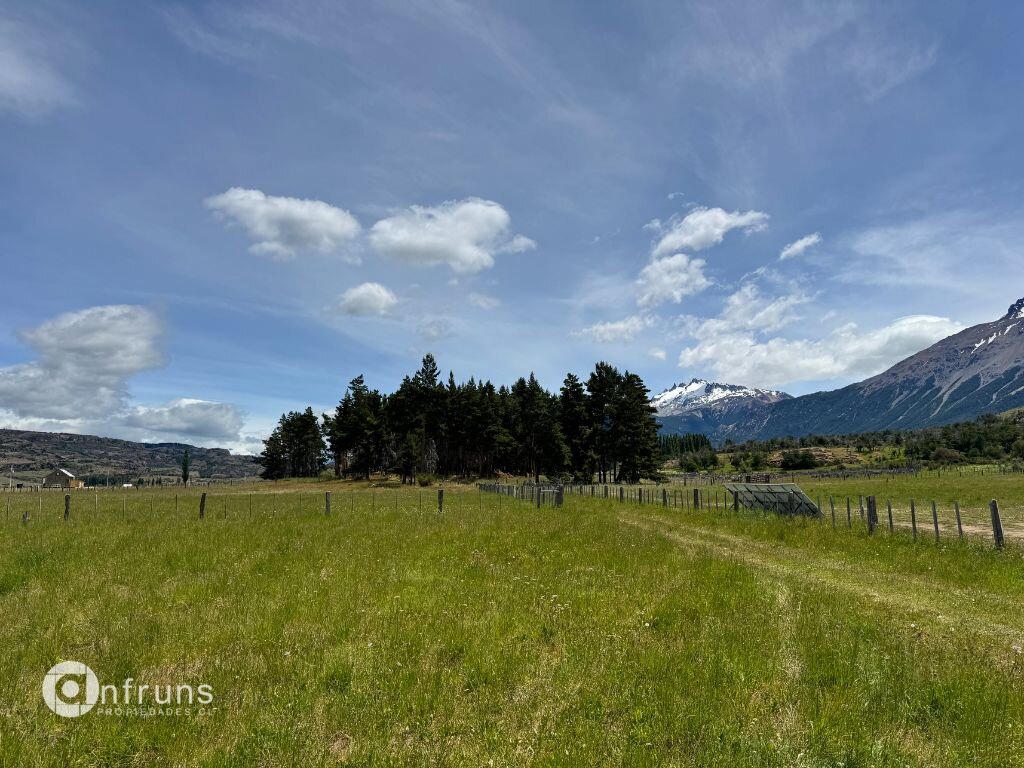 Trees and vegetation on the land parcel